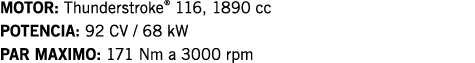 MOTOR: Thunderstroke  116, 1890 cc POTENCIA: 92 CV   68 kW PAR MAXIMO: 171 Nm a 3000 rpm
